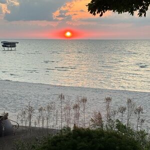 Meet your Posher, Gayle